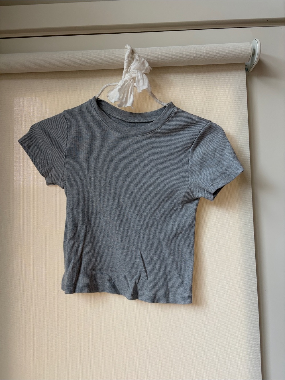 Brandy Melville Gray Ribbed Crop Tee